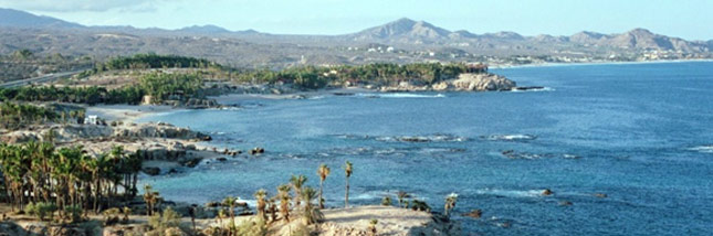 Beach and shoreline