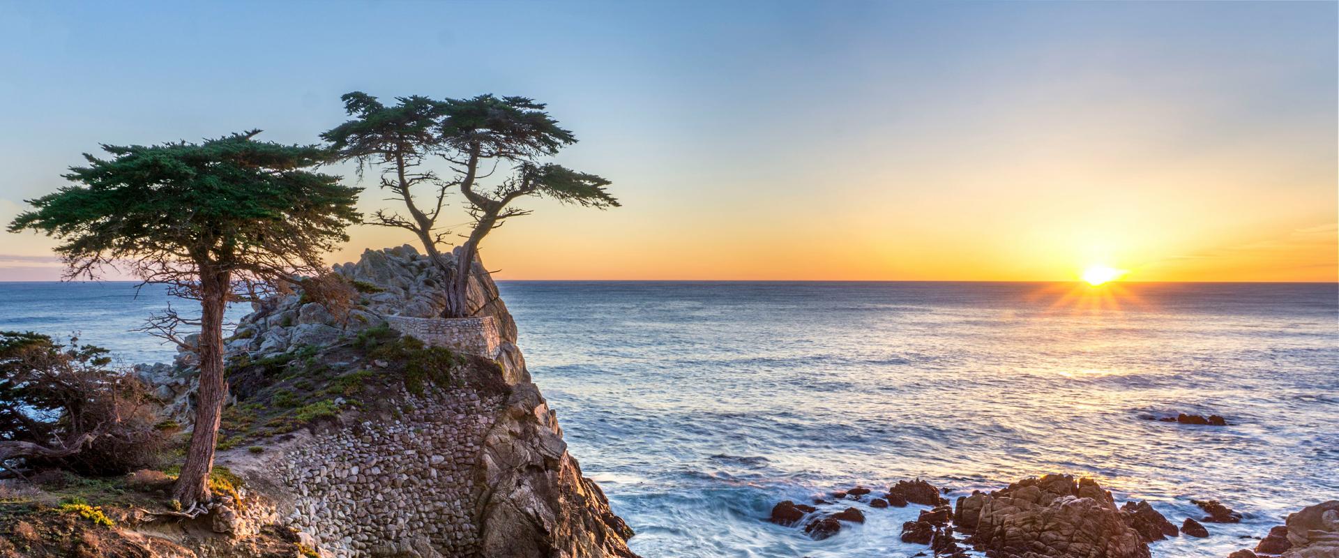 Coastline and cypress trees